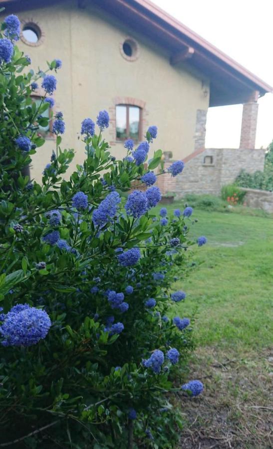 B&B La Casa Dei Cuori Millesimo 外观 照片
