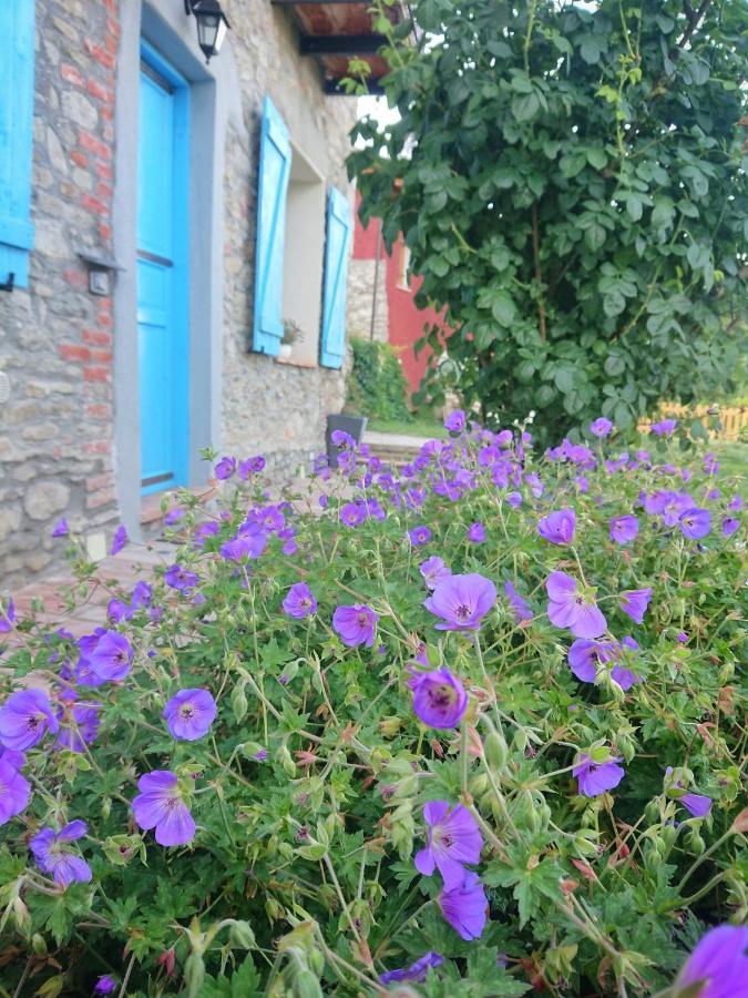 B&B La Casa Dei Cuori Millesimo 外观 照片